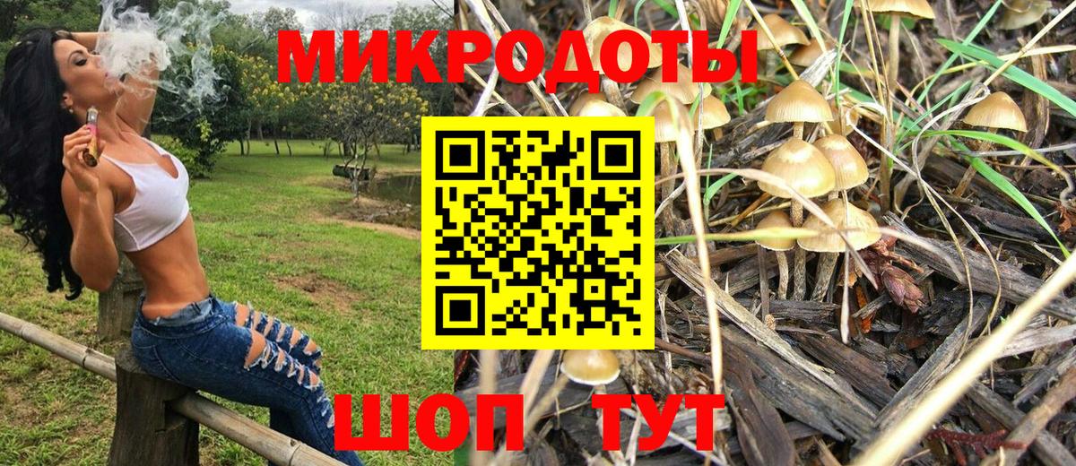 Галлюциногенные грибы MAGIC MUSHROOMS Обь