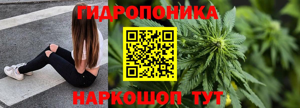 Конопля MAZAR  Вход с VPN  Бошки Шишки AK-47  Бошки Шишки Bruce Banner  Обь 